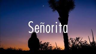 Shawn Mendes, Camila Cabello - Señorita (Lyrics)