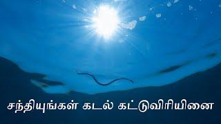 சந்தியுங்கள் கடல் கட்டுவிரியினை