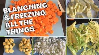 Blanching & Freezing All the Things | Frugal Food on a Budget