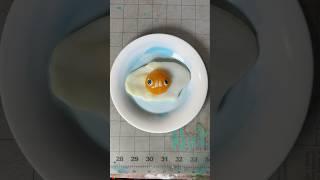 Moldable Plastic Sunny Side Up Egg 