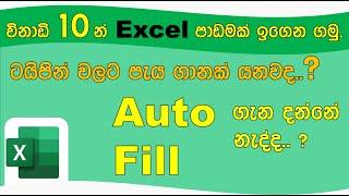 Ms Excel මුල සිට ඉගෙන ගමු - 4 පාඩම (Auto fill නිවැරදිව භාවිතා කරමු )