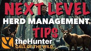 NEXT LEVEL Herd Management TIPS For Hunter: Call of the Wild