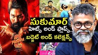 Director Sukumar hits and flops movies list with budget and collection upto pushpa 2 movie review