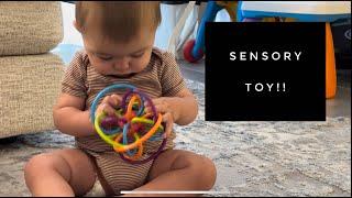 Manhattan Toy Winkel Rattle & Sensory Teether Toy