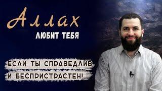 За какие качества Аллах любит людей? Маджид Махмуд 1.