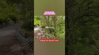 매매가 1억원, 계곡접한 농지매매, 밀양시 무안면 중산리