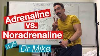 Adrenaline versus Noradrenaline | epinephrine versus Norepinephrine