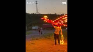 Soaring Phoenix: Unveiling the Majestic Flight of This Kite 