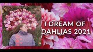 I Dream of Dahlias 2021: I'm NOT Giving Up!