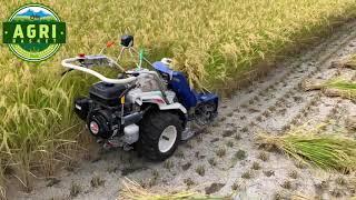 Driverless REAPER BINDER MACHINE Harvesting Paddy / Rice | Automatic Mini Reaper Binder Machine