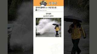 물벼락... 어떻게 보상받을까 #꿀팁 #생활정보 #물벼락