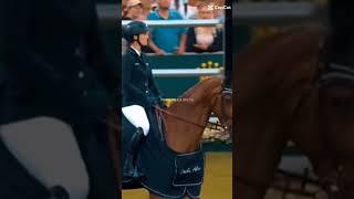 Moje more | horses ️️🫶  love the sound #horses #love #viral #cute #pony #dressage #edit