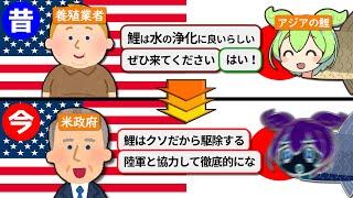 【鯉】アメリカが勝手に輸入して勝手にキレてる外来種があるらしい【ずんだもん＆ゆっくり解説】