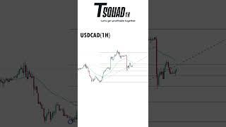 Insane Buy Setup: Fib + Liquidity Sweep Strategy #trading #forextrading #tradesetup #priceaction