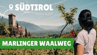 Marlinger Waalweg – Der schönste von allen? | VLOG #257 | SÜDTIROL 