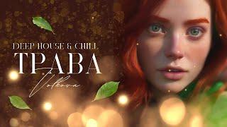 VOLKOVA - Трава #chill