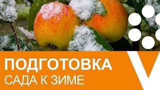 ПОДГОТОВКА САДА К ЗИМЕ: какие работы СТОИТ СДЕЛАТЬ, а от каких лучше отказаться