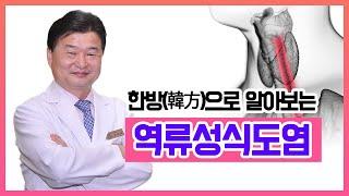 [헬스인뉴스-건강멘토] 한방(韓方)으로 알아보는 역류성식도염