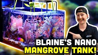 Soft Coral PACKED Nano Reef! Simple and Easy Aquarium!