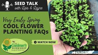 Seed Talk #125 - Very Early Spring Cool Flower Planting FAQs