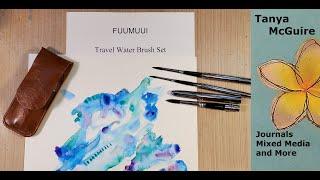 Fuumuui Waterbrush Unboxing and Review