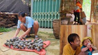 Single father, picking fruit to sell for money, misunderstood by his wife