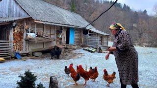 Rural life, cooking borscht and pies with cheese