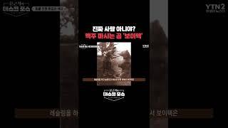 진짜 사람 아니야? 맥주 마시는 곰 '보이텍'