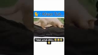 enak2 tidur kaget bukan kepalang#viral #memeviral #shorts