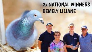 Shines from Shortest up to the National Long Distance Races - Demely's Liliane Loft