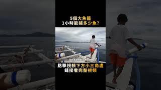 上千塊一條的東星斑，全扔海裏當誘餌，是賺還是賠？#shorts