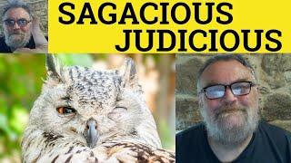  Judicious vs Sagacious Meaning - Sagacious or Judicious Sagacious and Judicious Defined Difference