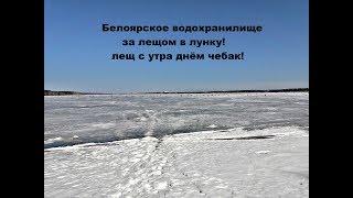 Рыбалка!ОТЛИЧНЫЙ КЛЁВ за ЛЕЩОМ в лунку!Лещ с утра,днём плотва!Обидные сходы((