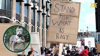 Hundreds of furious XL bully owners march through central London