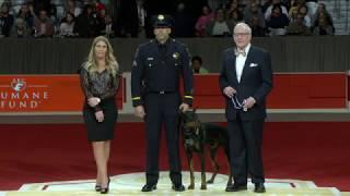 ACE Award for Uniformed Services K 9 Dog Duke  A video from the 2017 AKC National Champion