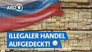 Verbotenes Holz aus Russland in deutschen Baumärkten – trotz Sanktionen im Handel! | Markt NDR