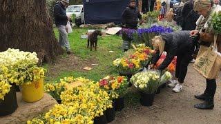 Warrandyte  Riverside Market