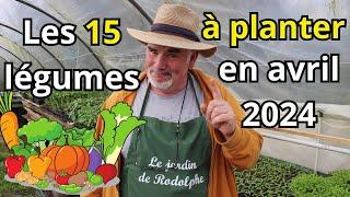Découvrez les 15 légumes à planter en avril pour une récolte exceptionnelle!