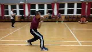 #Dragon style kung fu-Tai Po Da- #謝意開師傅- #Newcastle- #Sam tung