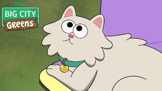 Meeting Anoush, the Cat (Clip) | Forbidden Feline Big City Greens