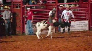 Jr. Rodeo calf, steer, and bullriding!