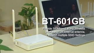 BT-601GB  ONU