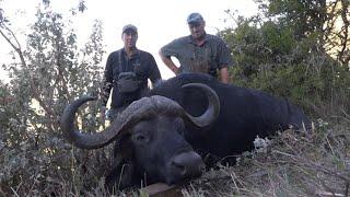 Cape Buffalo hunt with Nick Bowker