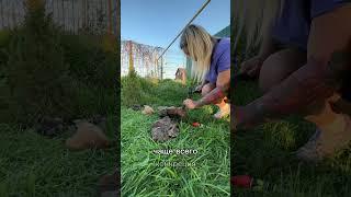 Разобрали окаменелость #ископаемые #окаменелости #аммонит