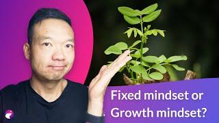 Why a Growth Mindset is Essential for UX Design Success