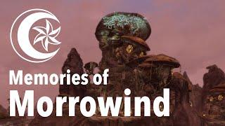 Skywind - Memories of Morrowind