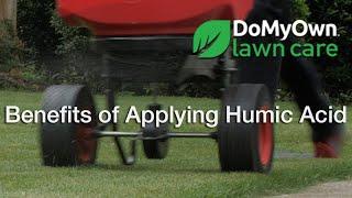 Benefits of Applying Humic Acid | DoMyOwn.com