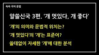 알쓸신국 3편.  '개 재미있다, 개 좋다'의 '개'를 문법적으로 분석해 본다면?