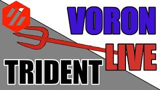 Voron Trident - LDO Motors Kit Build -PART 4 - LIVE - Chris's Basement