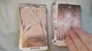 The Ink Witch Tarot - Walkthrough